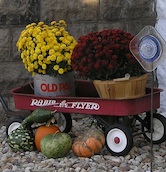 Fall Decor Elmwood IL